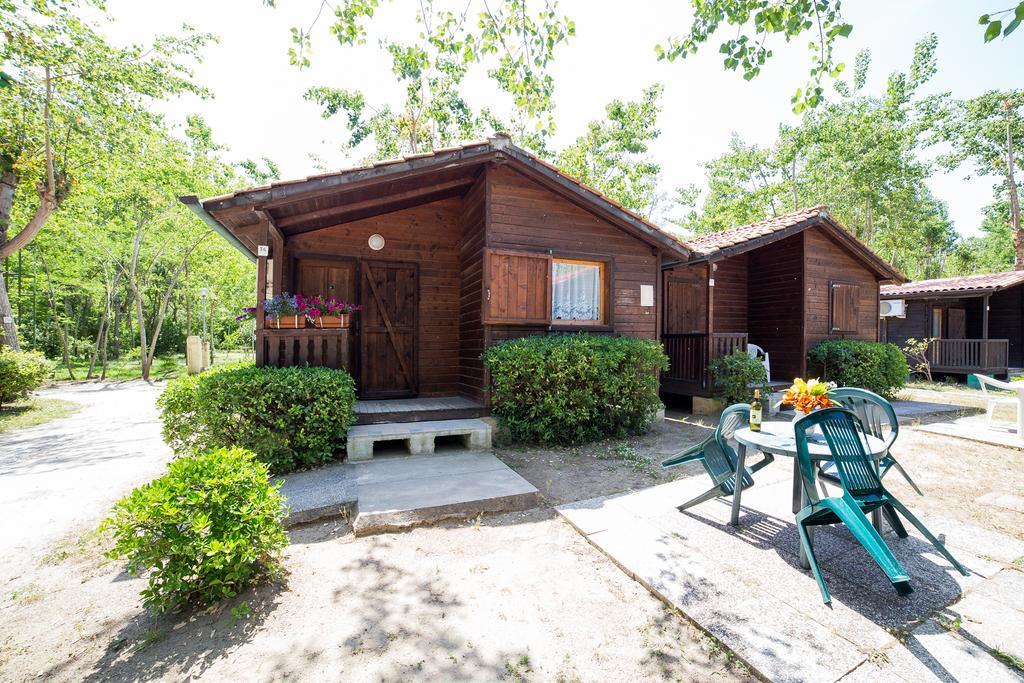 Camping Dei Tigli Торре-дель-Лаго-Пуччини Номер фото